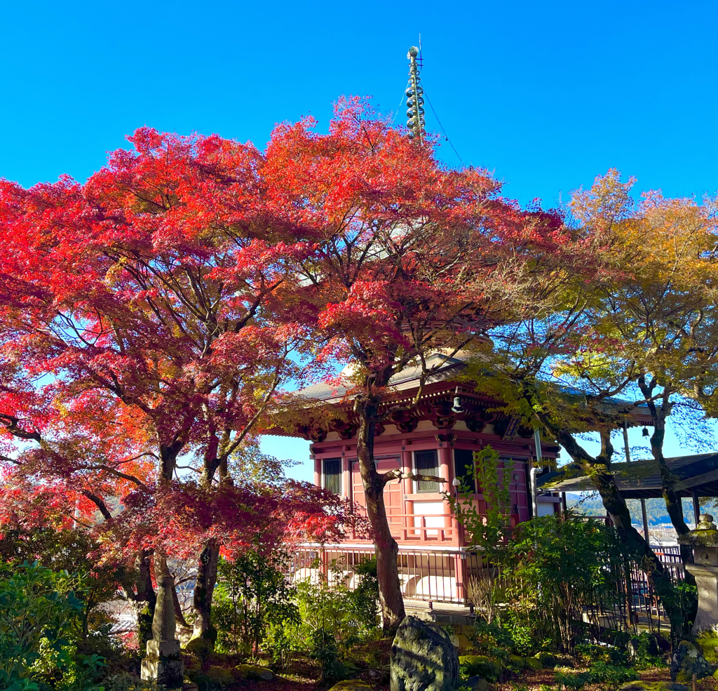 La Splendeur Automnale Cachée de Kyoto! Le Temple bouddhiste Sanmyō-in (三明院) et la magie des koyos