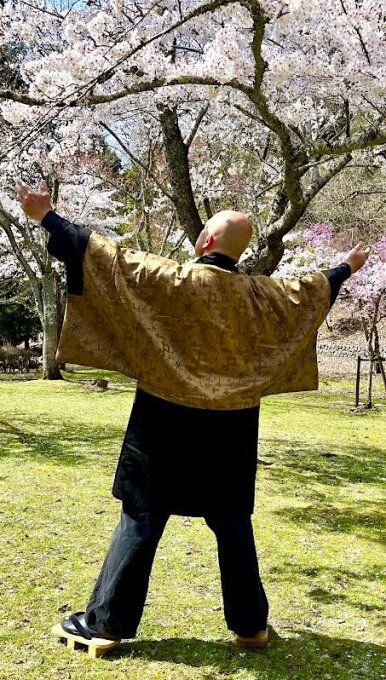 Antique Haori soie noire Maruni UmeBachi Montsuki Sakura Guruma homme 