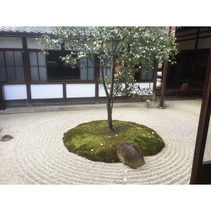 Boite d'encens japonais bois de Santal Temple Zen Kenninji Kyoto