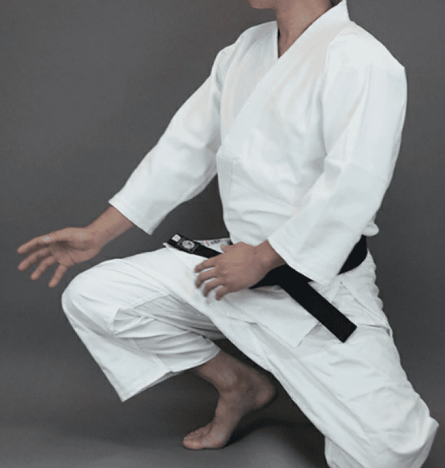 Set Aikidogi Yomogi polyester Hourai Tozando Taille:2. Made in Japan