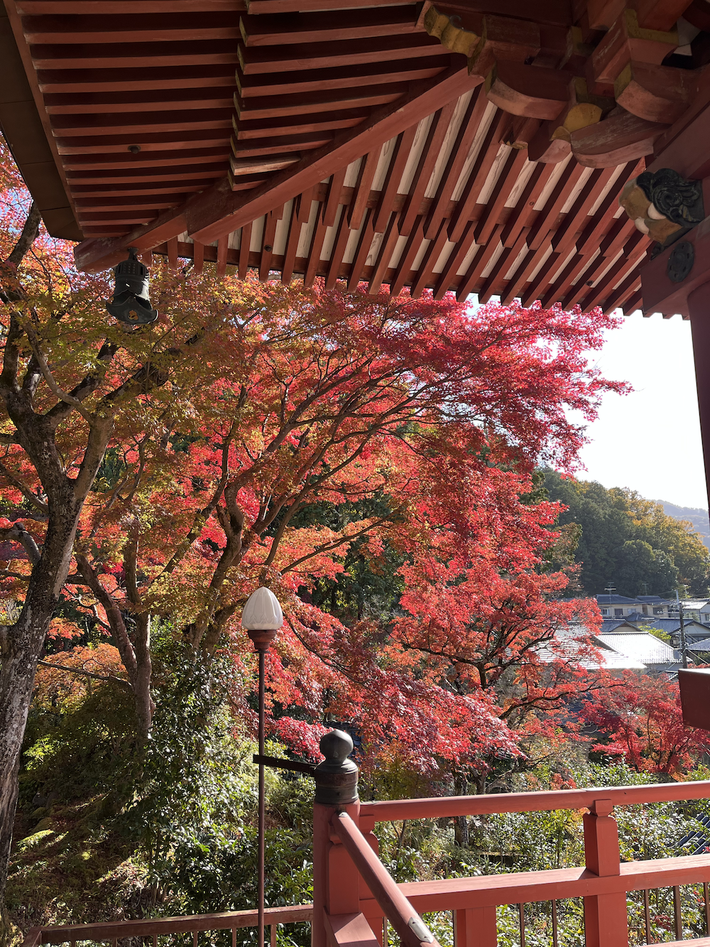 jardin du Temple bouddhiste Shingon Sanmyō-in (三明院) 