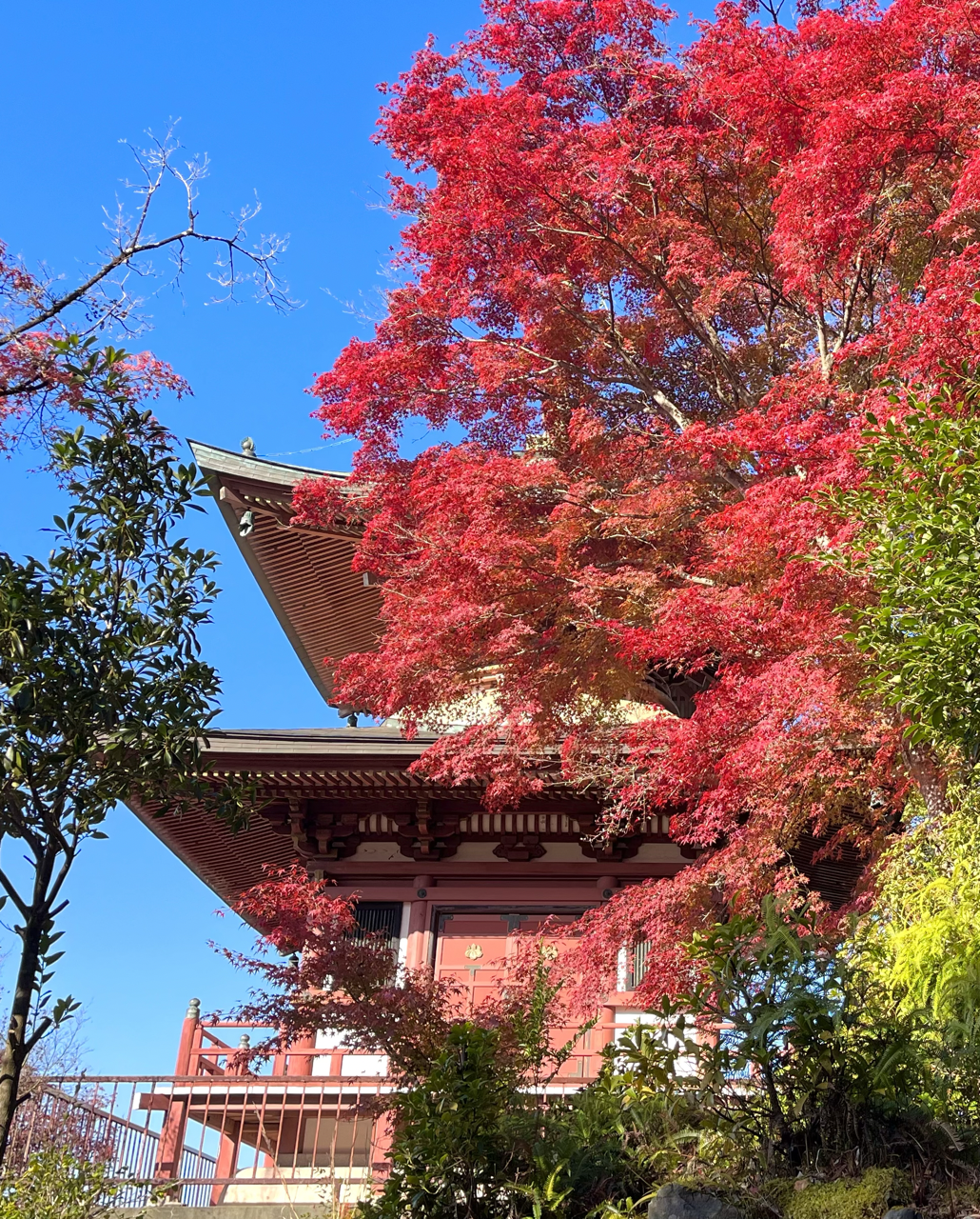 jardin du Temple bouddhiste Shingon Sanmyō-in (三明院) 